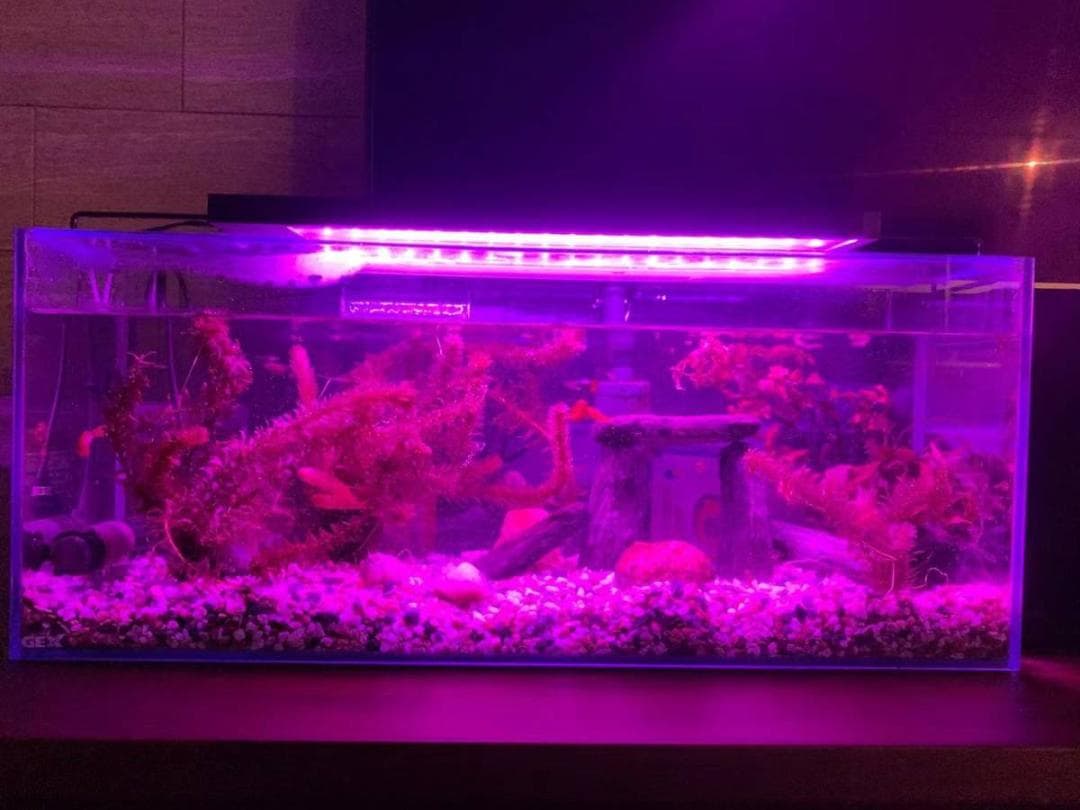 極BLUES LED アクアリウムライト120cm～135cm沖縄送料付