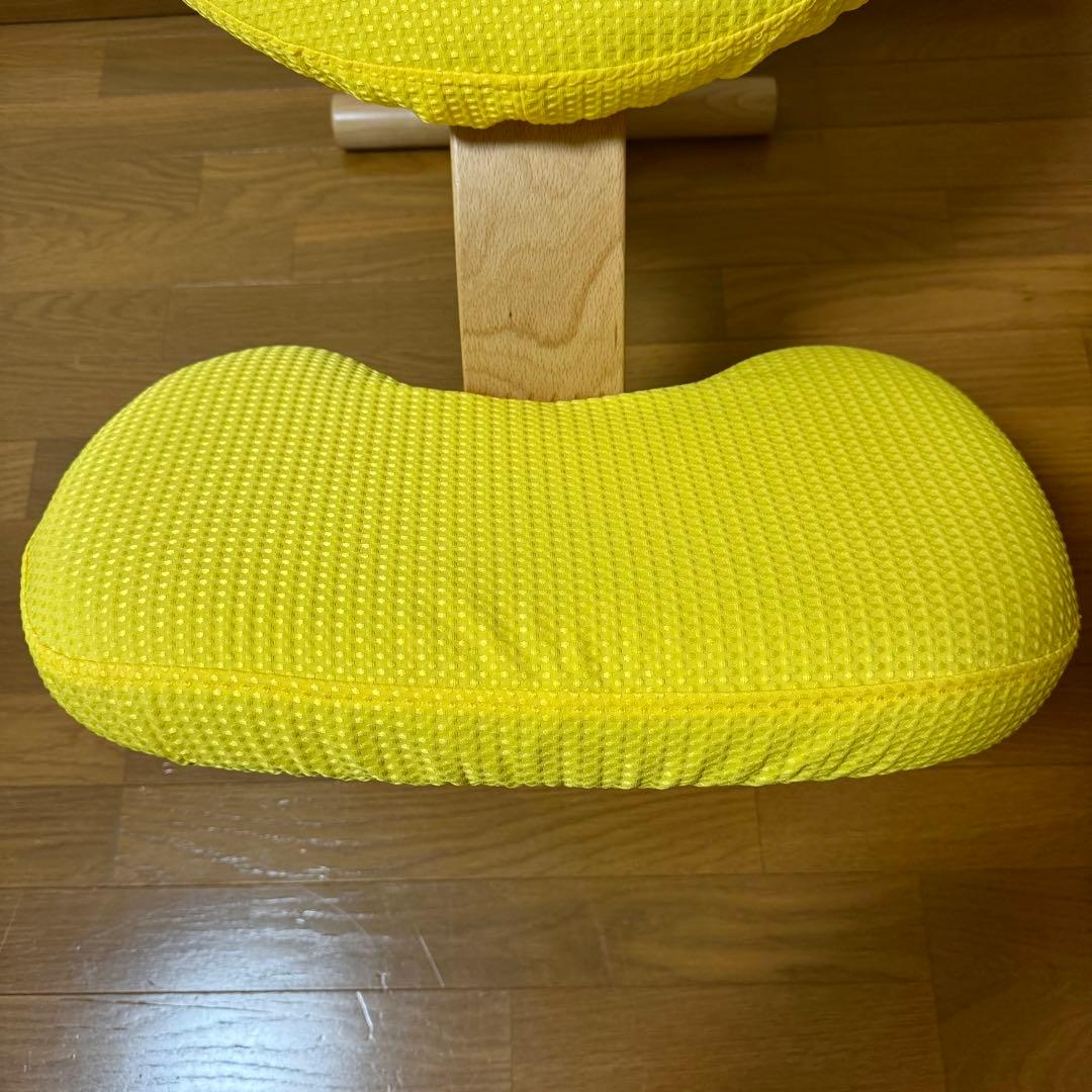 【美品】バランスイージー Rybo リボ社 バランスチェア 姿勢改善 カバー付き