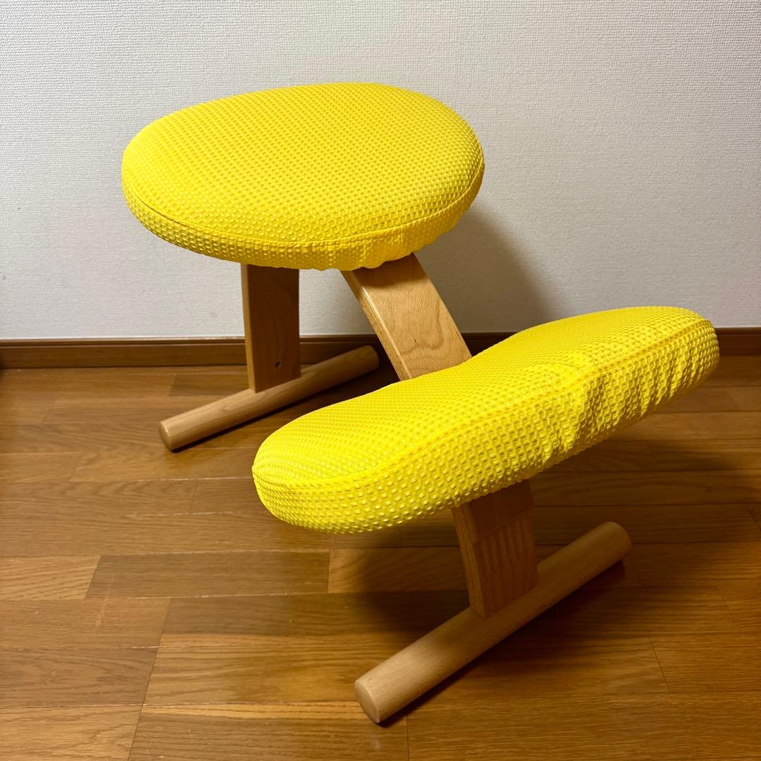 【美品】バランスイージー Rybo リボ社 バランスチェア 姿勢改善 カバー付き