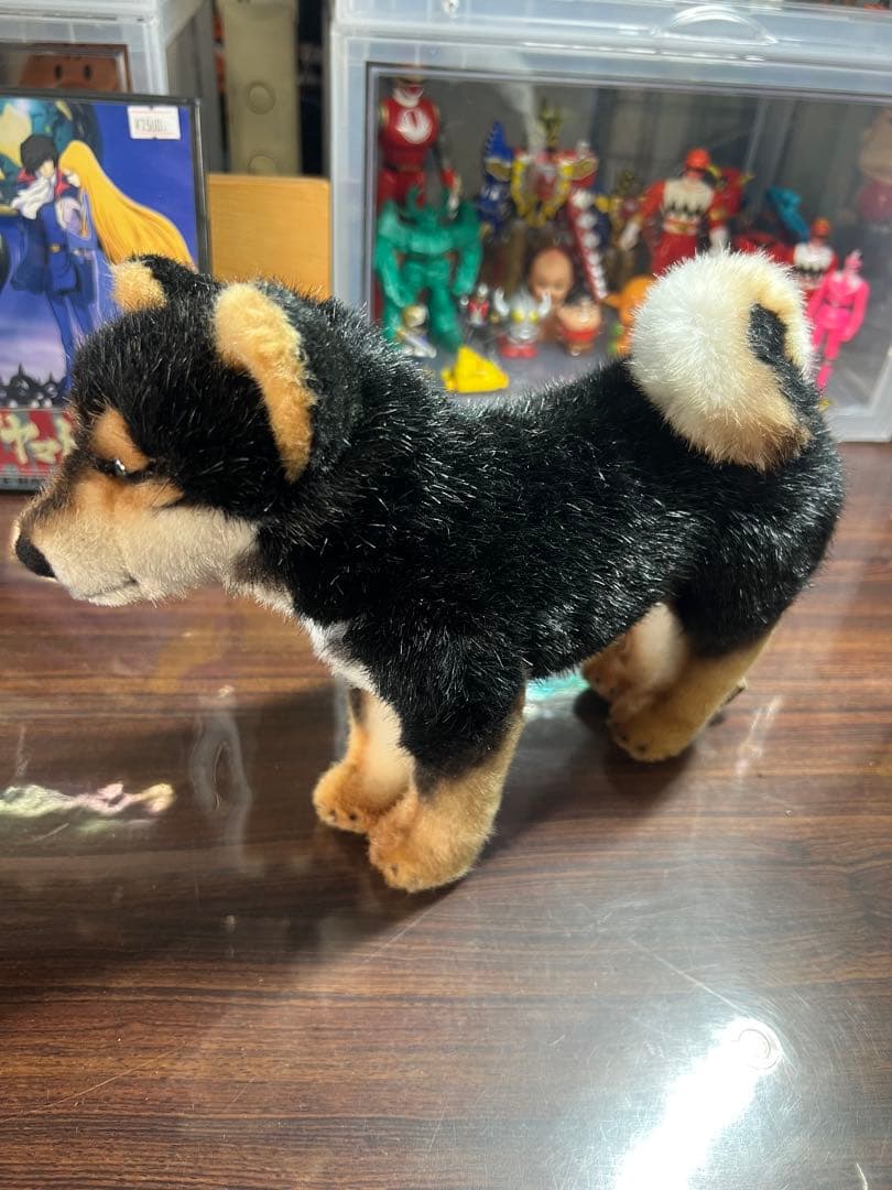KOSEN芝犬