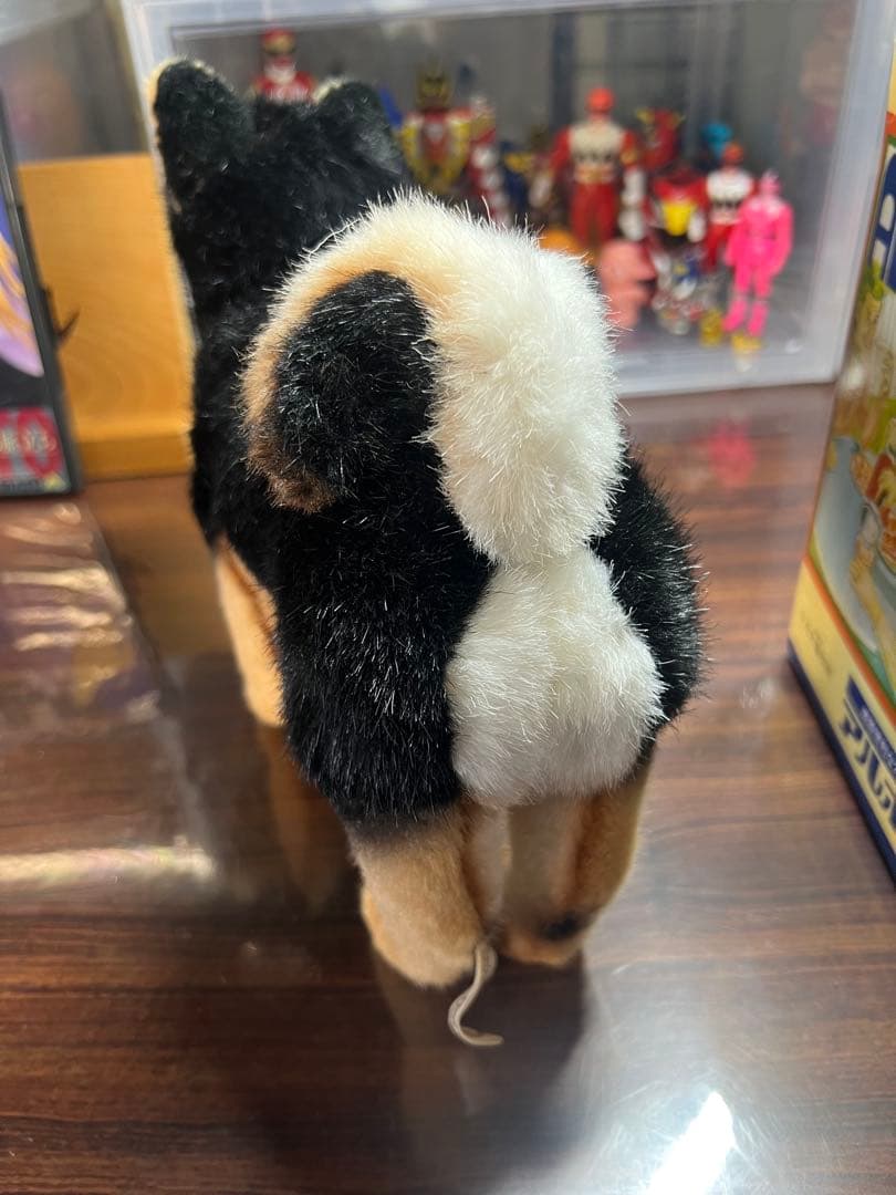 KOSEN芝犬