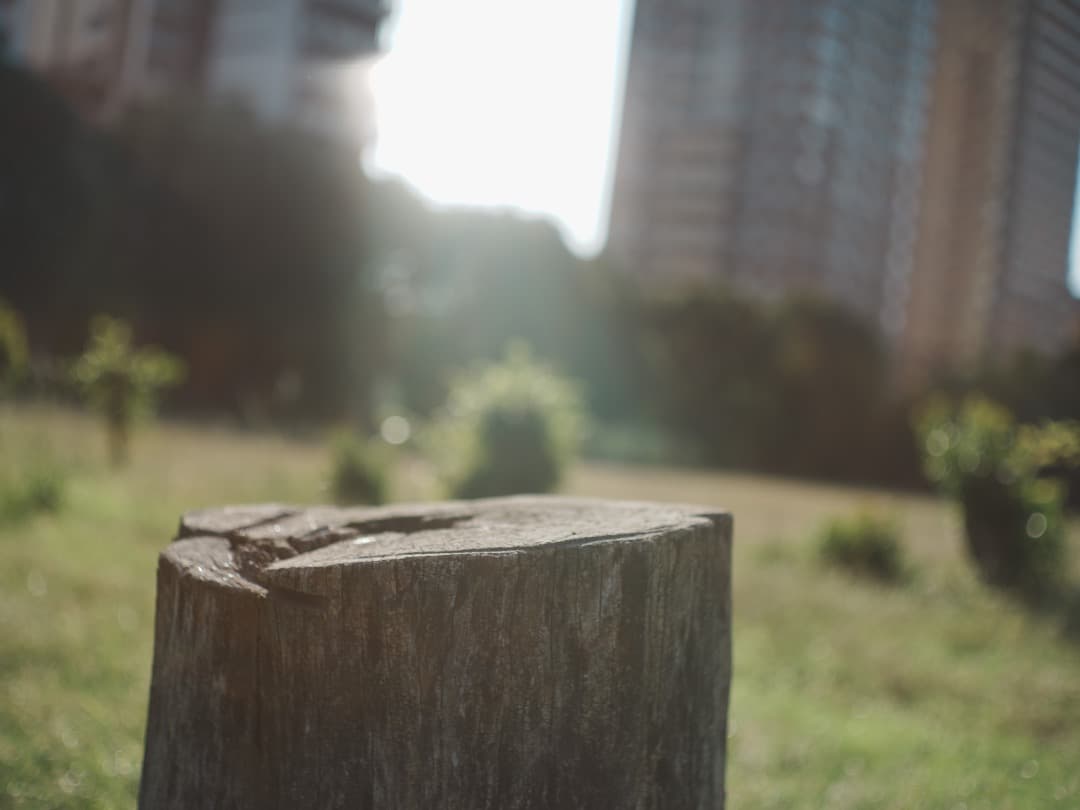 【1961年製　貴婦人】Leica Summilux 50mm