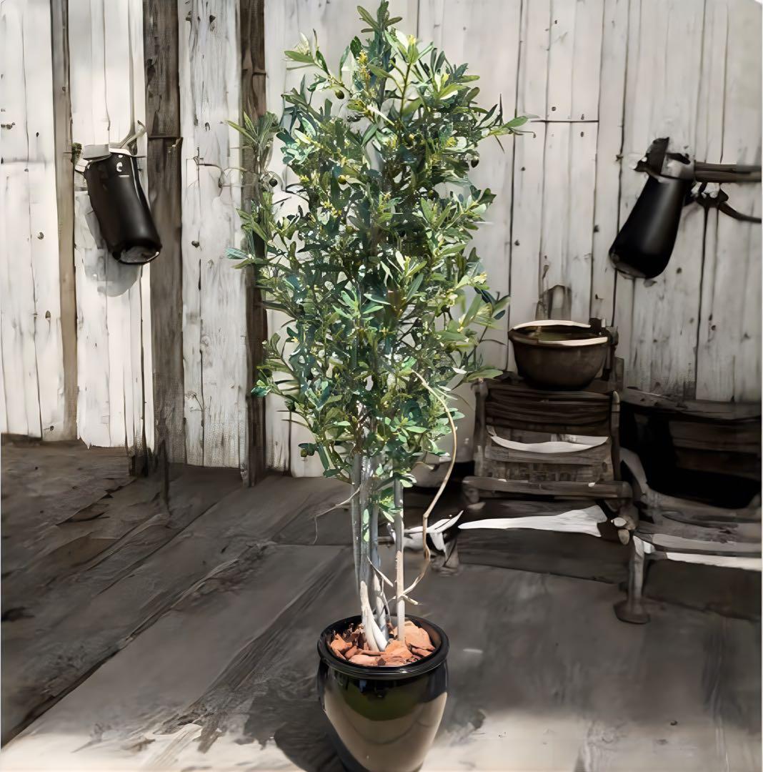 光触媒　人工観葉植物　ウォールグリーン　フェイクグリーン　オリーブtja