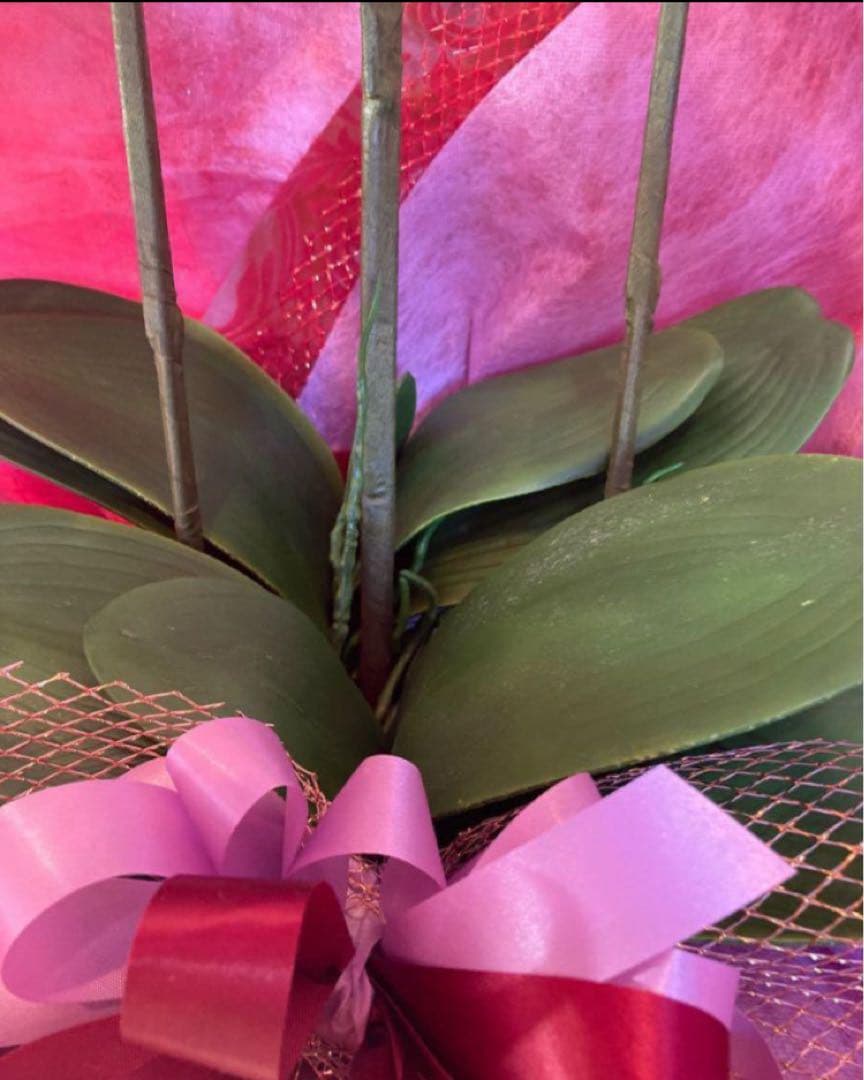 光触媒　人工観葉植物　ウォールグリーン　フェイクグリーン　胡蝶蘭p78