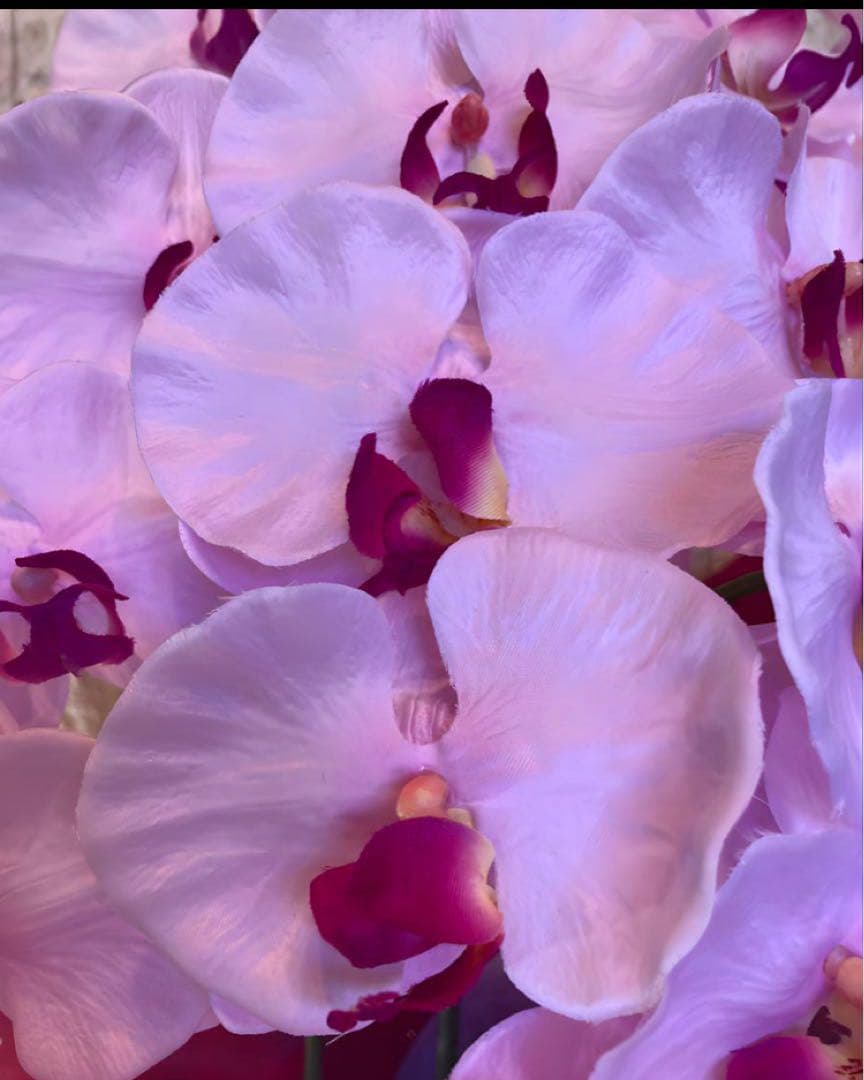 光触媒　人工観葉植物　ウォールグリーン　フェイクグリーン　胡蝶蘭p78