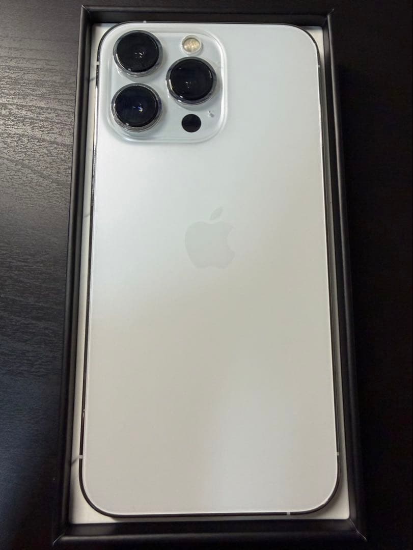 Apple iPhone 13 Pro シルバー 256 本体