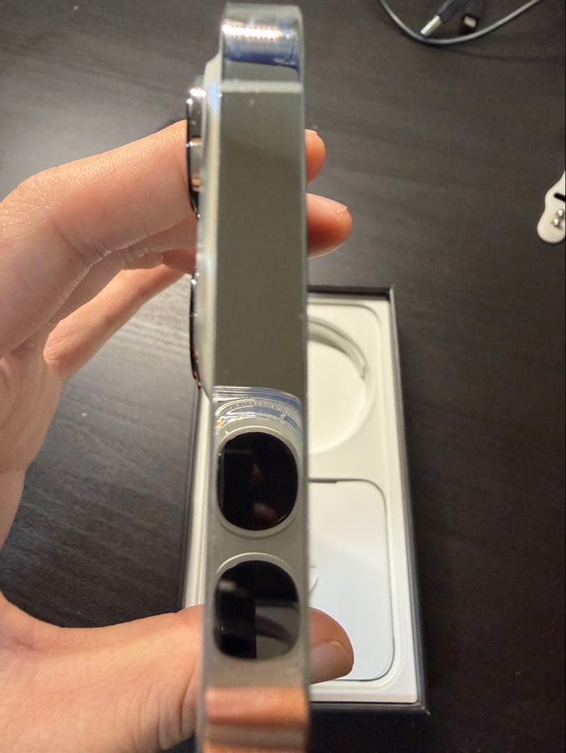 Apple iPhone 13 Pro シルバー 256 本体