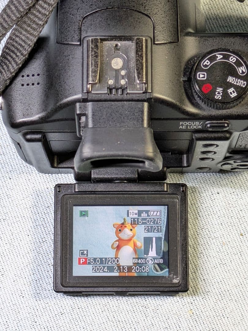 【古いけどキレイ】⚫PanasonicデジタルカメラLUMIX FZ50