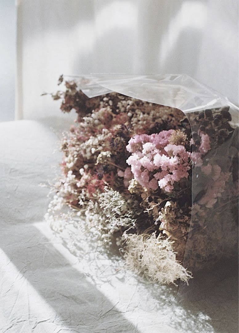 OLYMPUS OM-1 F.ZUIKO 50mm F1.8 フィルムカメラ