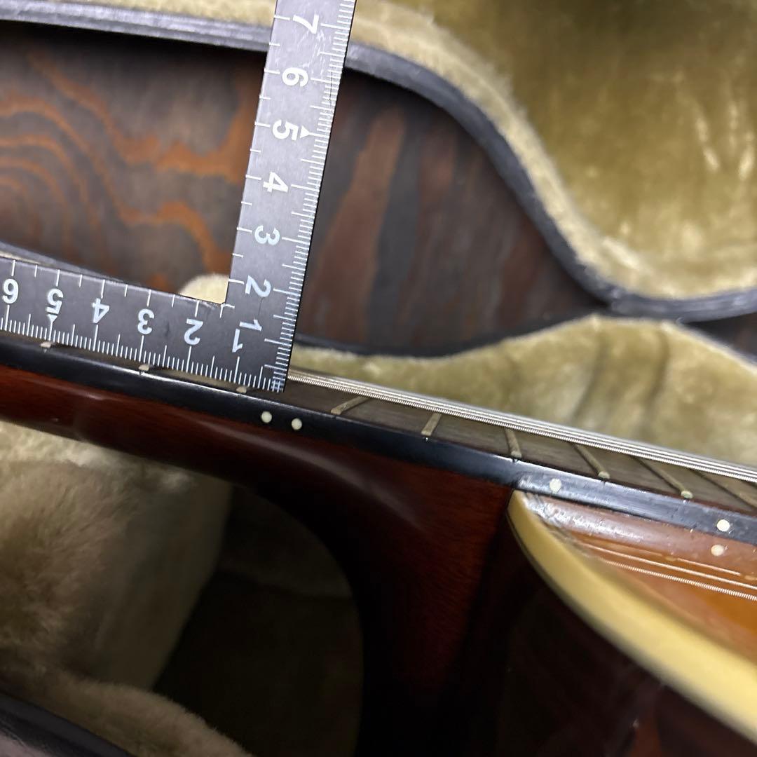 VG アコースティックギター カッタウェイ エレガットハードケース付き