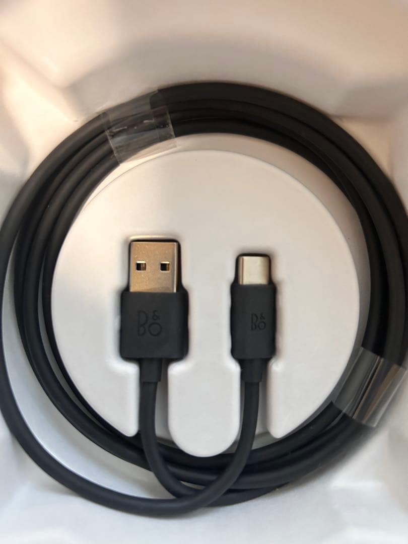 Bang&Olufsen Beosound ポータブルスピーカー