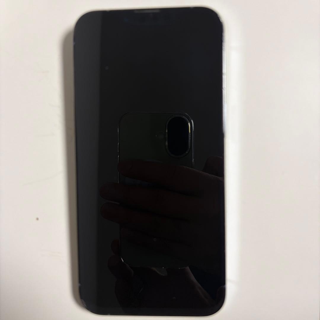 iPhone 13 Pro 箱・純正未使用充電器付／レンズ不具合・動画雑音あり
