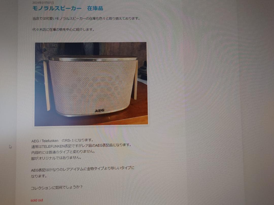 Telefunken RS 1 モノラルアンプ　セット