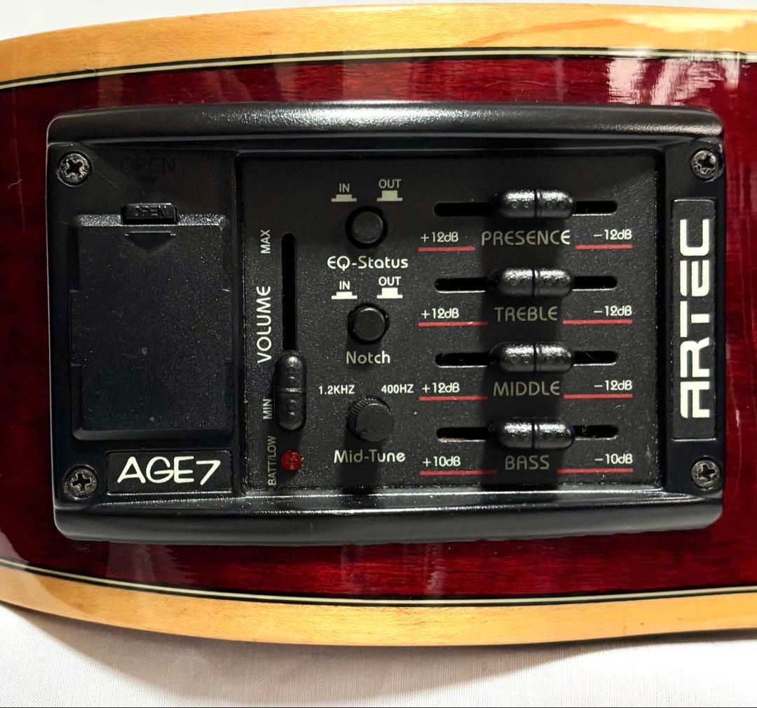 【新品弦張替済】Zenn エレアコ ZF33CE fホール グローバーペグ