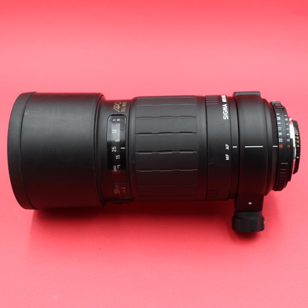 ❤️ポートレートOK❤️SIGMA 300mm F4❤️圧縮効果❤️ニコン用❤️