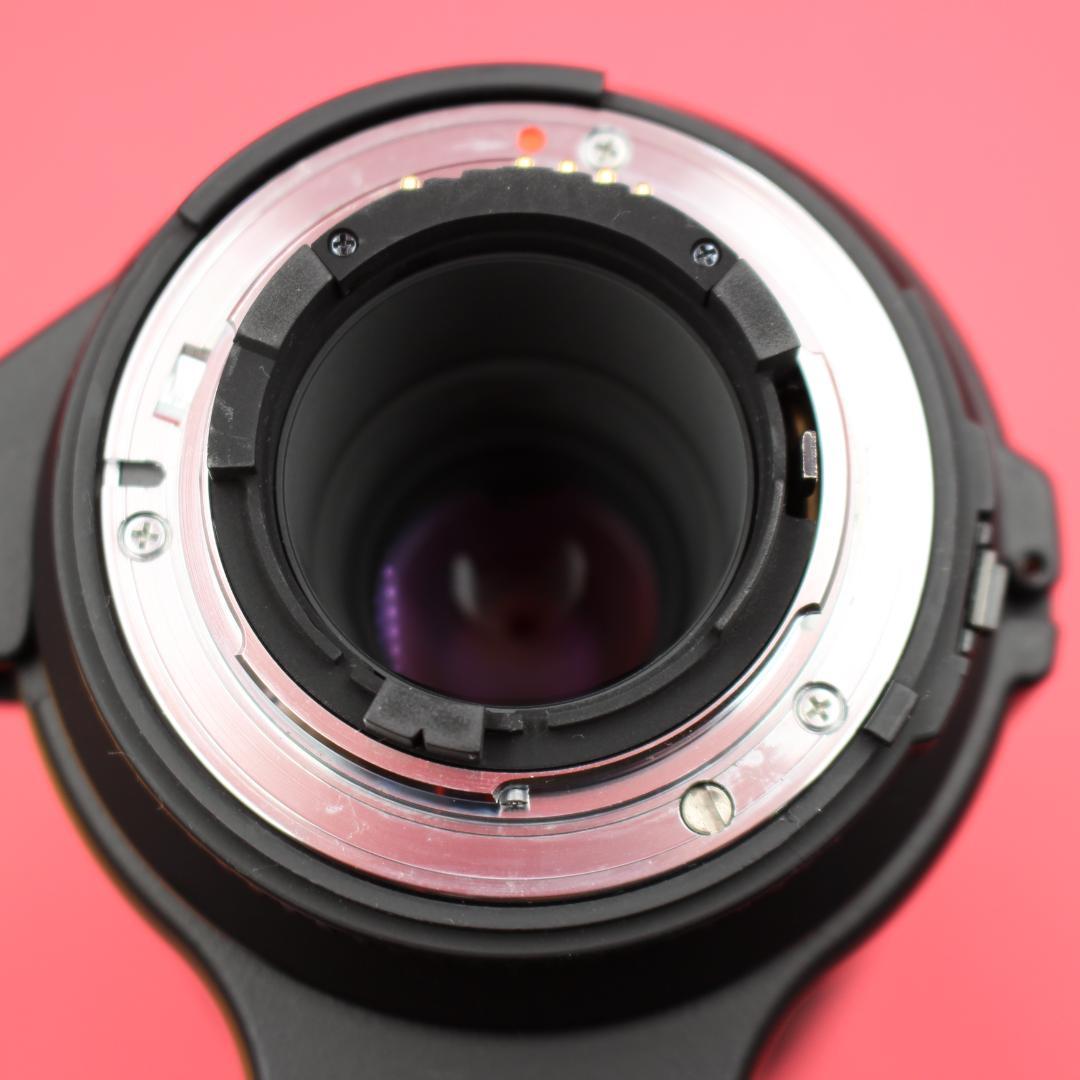 ❤️ポートレートOK❤️SIGMA 300mm F4❤️圧縮効果❤️ニコン用❤️