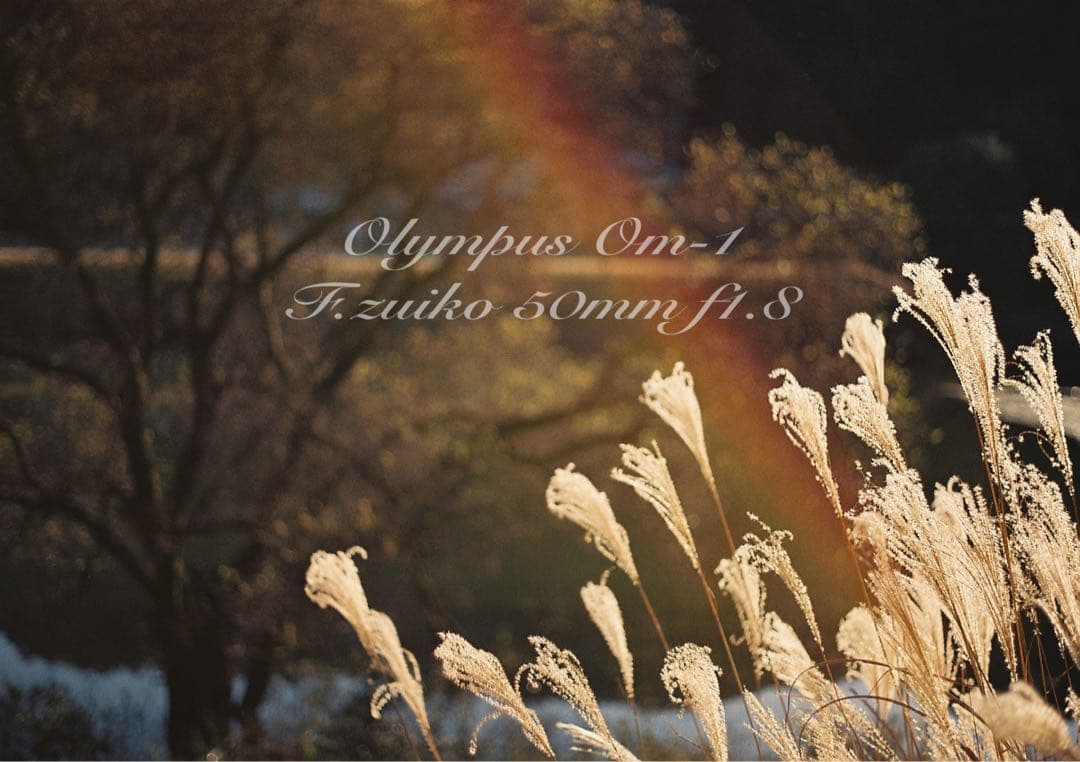 ★入門に★OLYMPUS OM-1/レンズセット★完動品＊美品＊初期保証