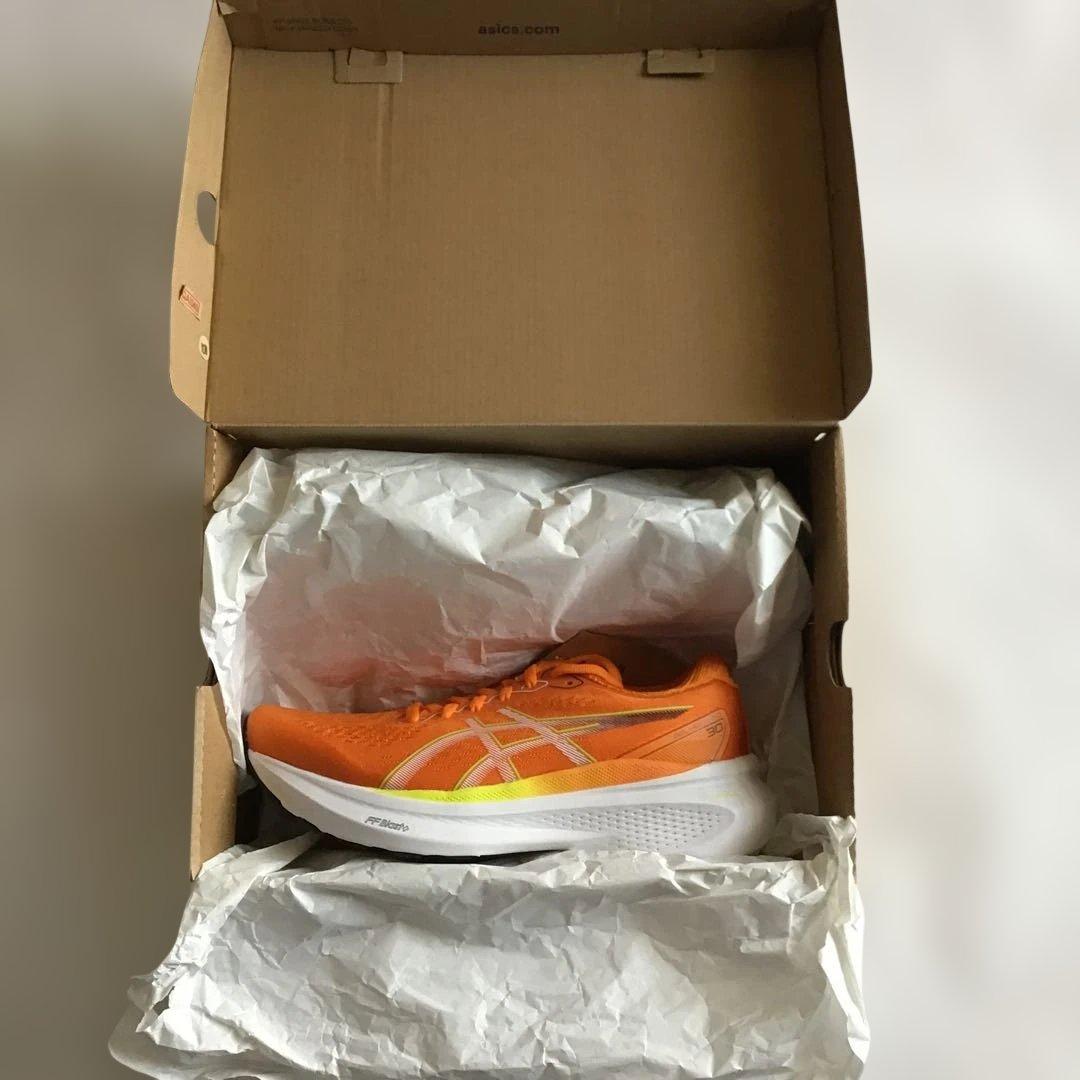 ASICS GEL-KAYANO 30 ゲルカヤノ25.0cm 【新品・未使用】