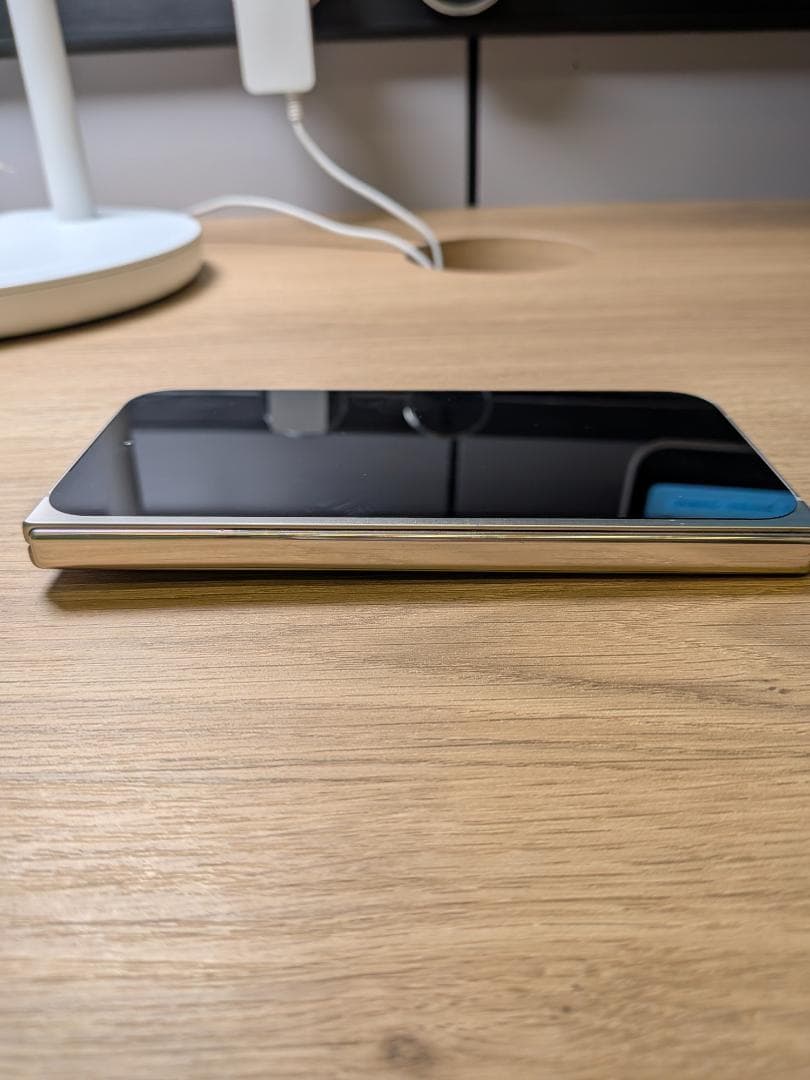 Google Pixel ９Fold 本体＋ケース インナースクリンひび割れあり