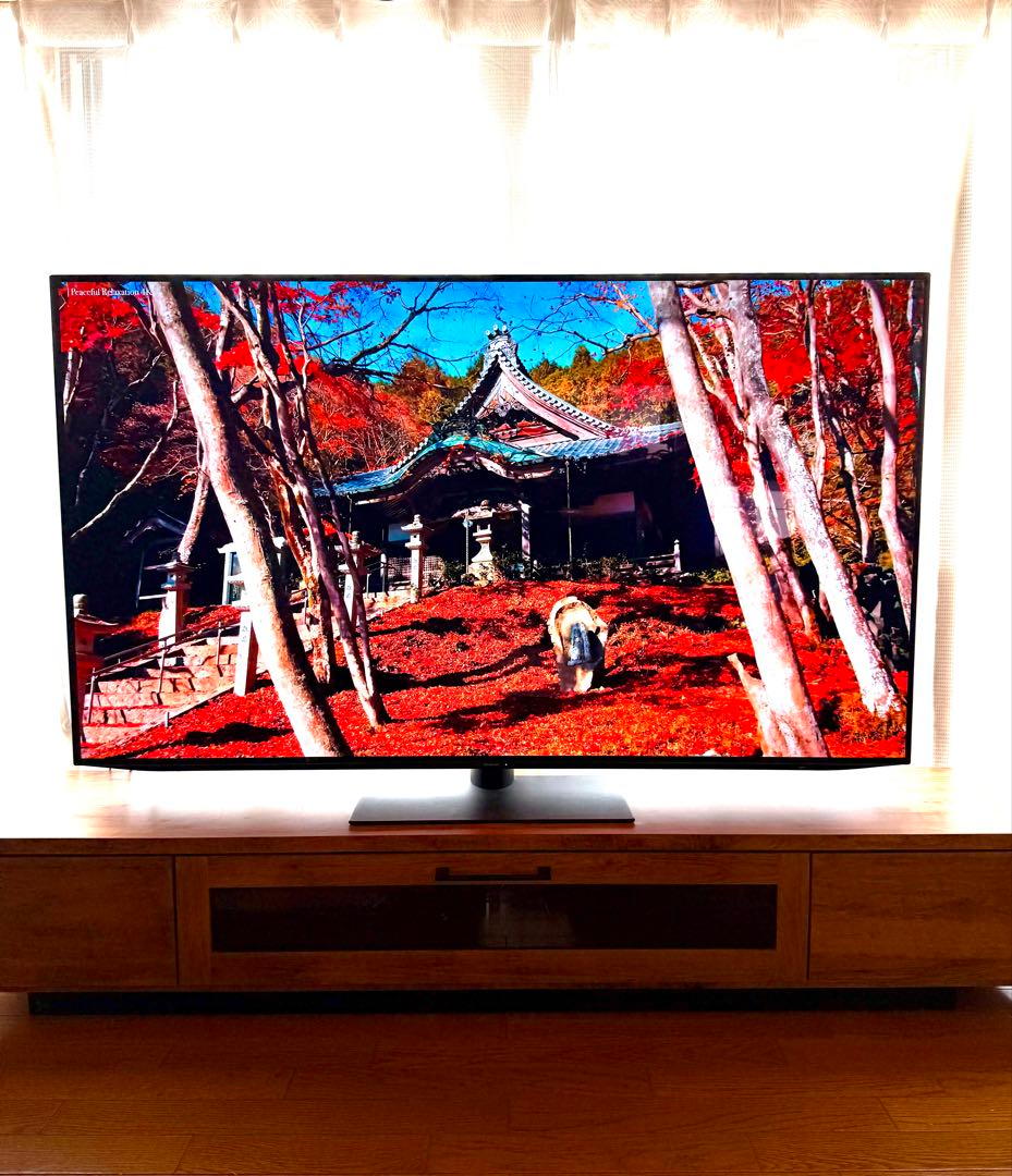 美品65インチ◇有機EL 4Kテレビ　SHARP AQUOS 4T-C65DQ1