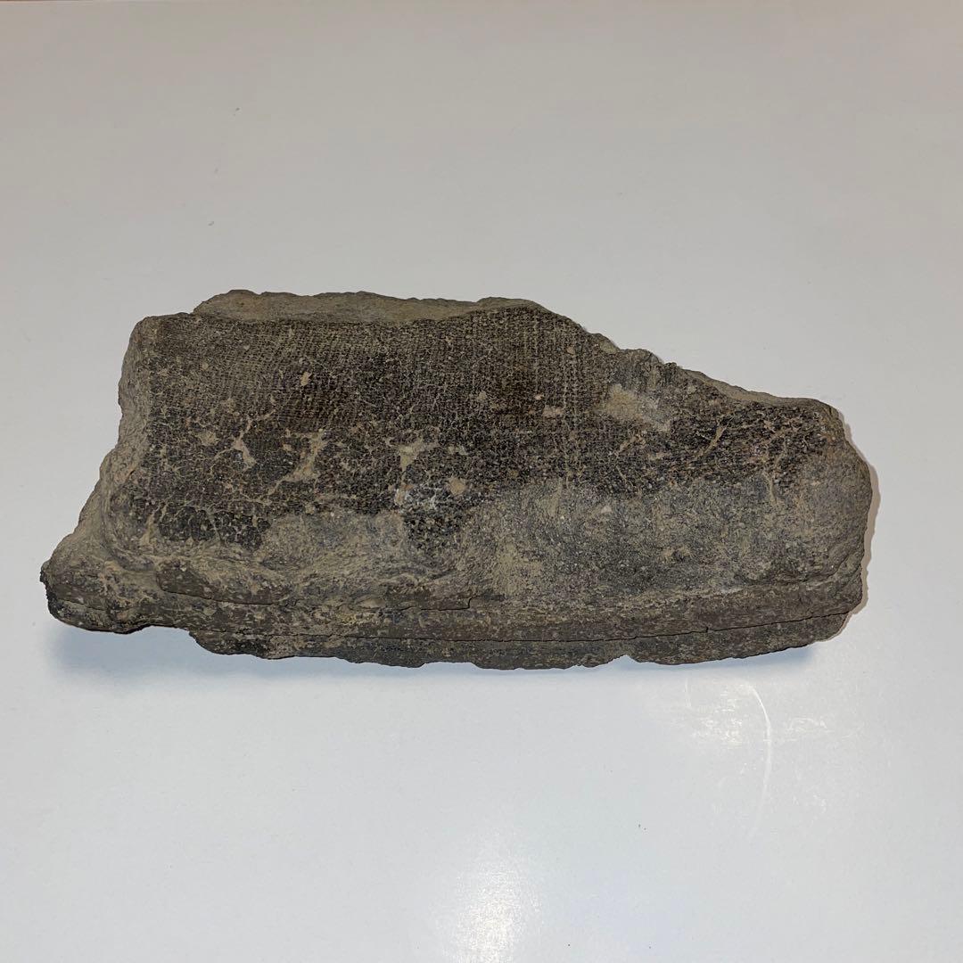 古瓦　多賀城　軒平瓦