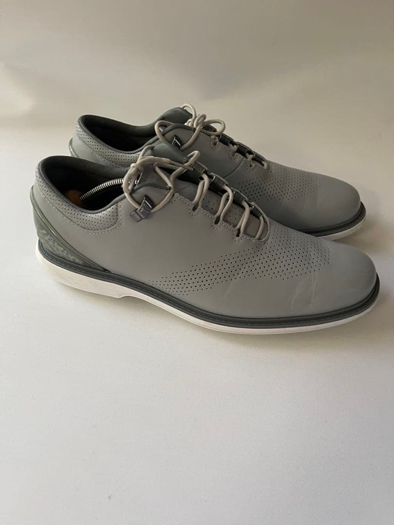 NIKE JORDAN GOLFジョーダンゴルフシューズ　ADG4グレー　　29