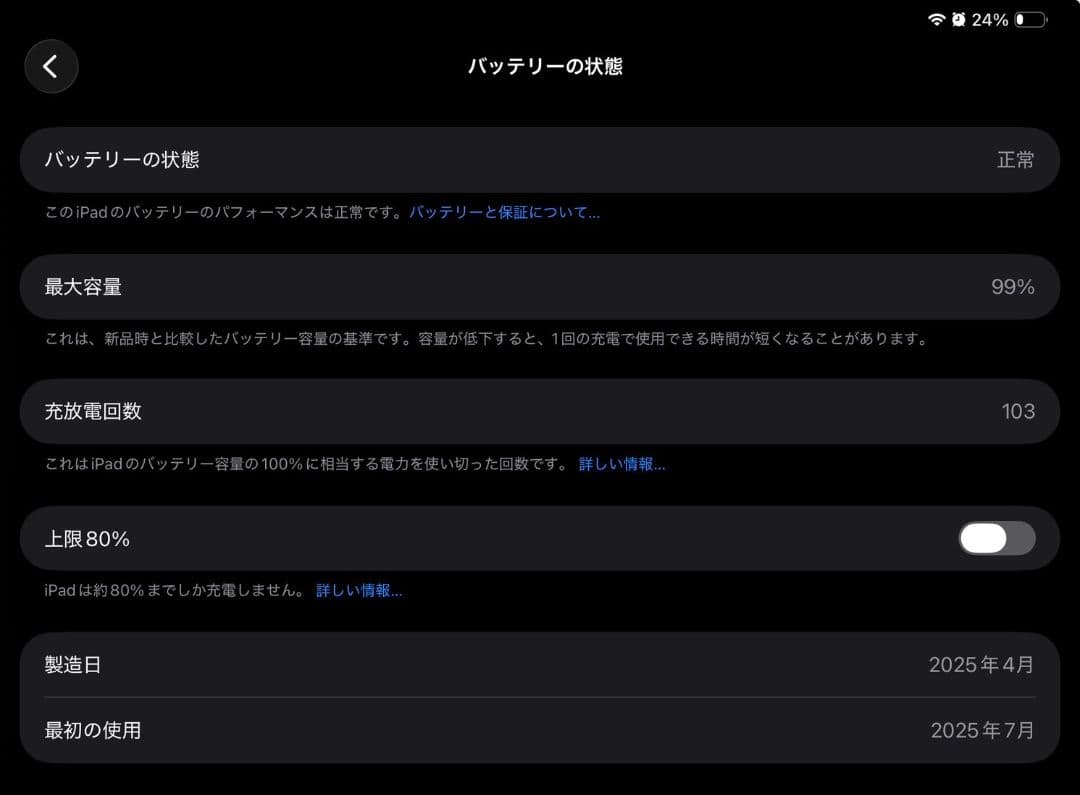 ipad　pro 11インチ　256GB