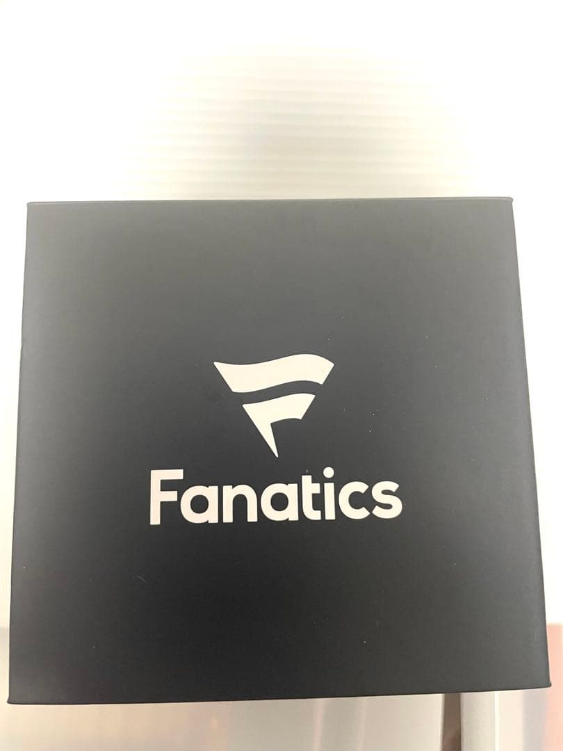 今永昇太　直筆サインボールインスク入り ファナティックス専用ケース付き