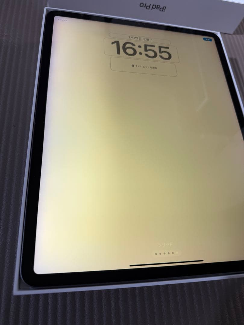 天*水様 画面焼けあり　iPad Pro 12.9インチ 256GB Wi-Fi