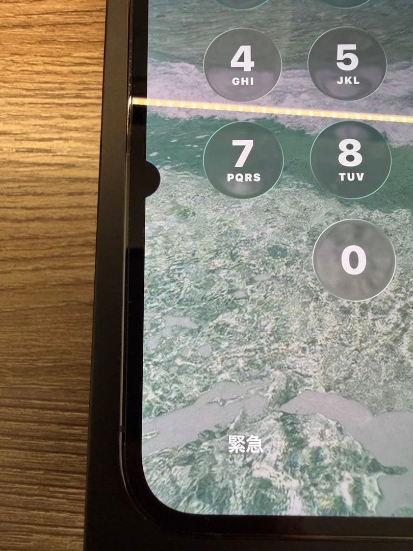 Apple iPhone 13 Pro 1TB 本体