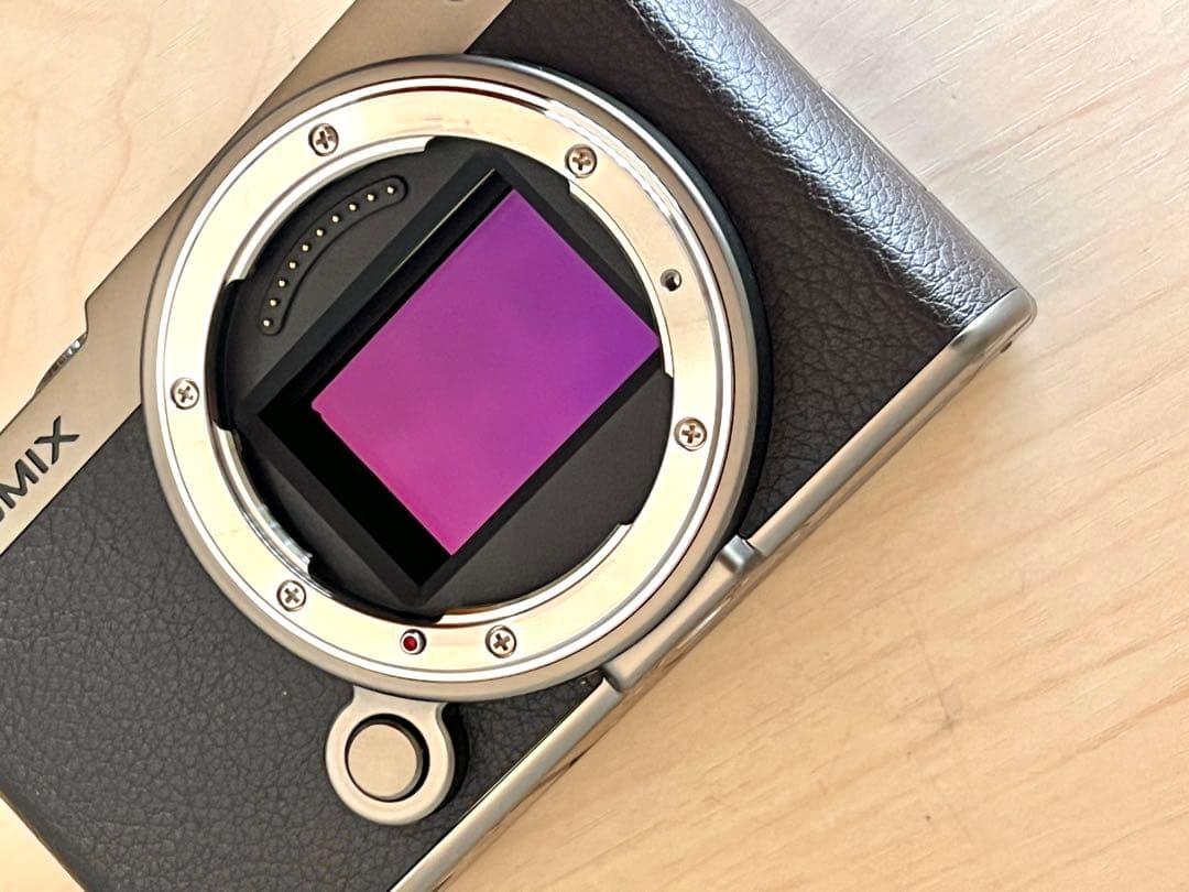 パナソニックLUMIX S9 ボディDC-S9N-N チタンゴールド