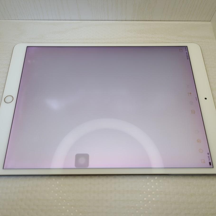 iPad Pro 10.5 Cellular◆512GB / A1709※訳アリ