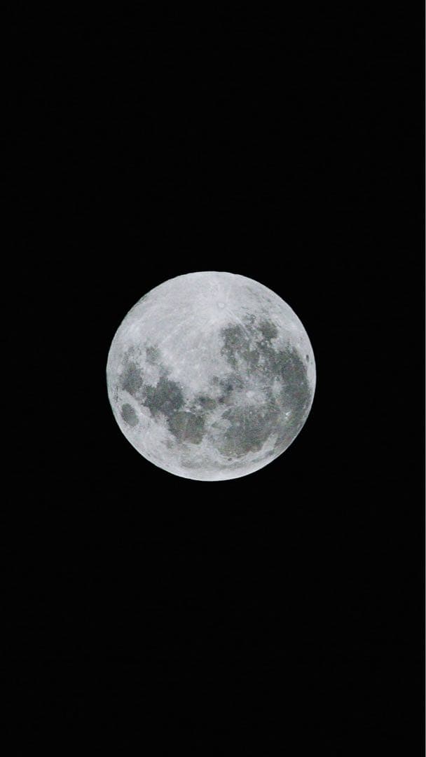 レンズ(ズーム) Canon EF70-300mm 1:4-5.6 IS USM