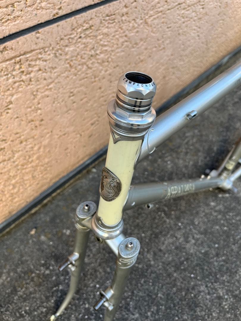 RIVENDELL joe appaloosa frame 51サイズ