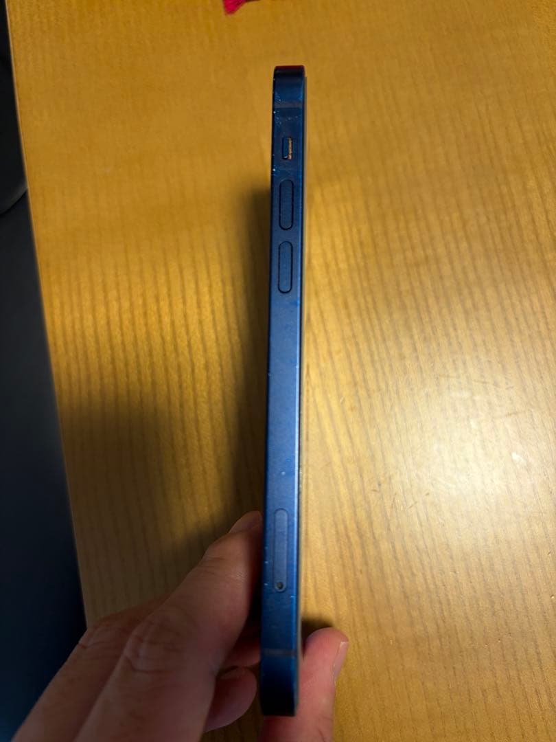 海