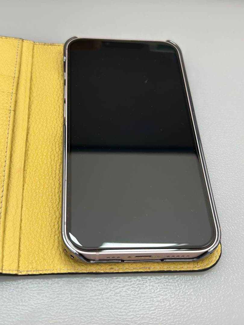 【ストラップ付き】 ボナベンチュラ iPhone14 ケース 交換用ケース付属