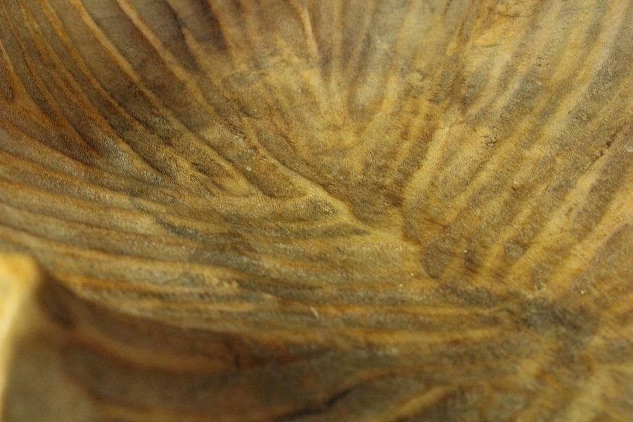 葡萄木 手付 器 木彫 古民具 時代物(K-LC949)