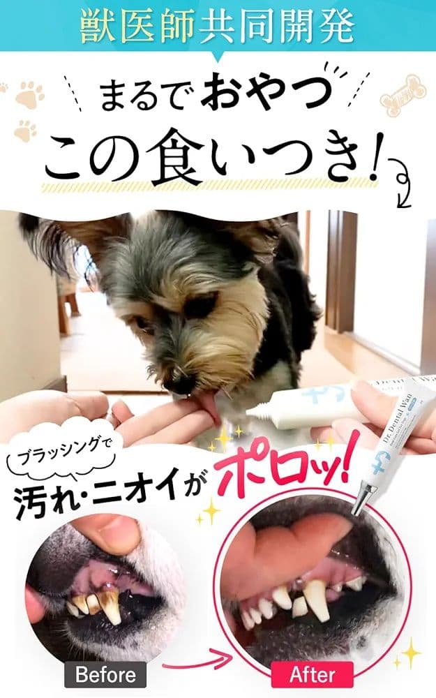 【正規品】2本セット☆Dr. Dental Wan・Dr.デンタルワン ビーフ