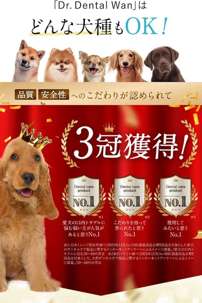 【正規品】2本セット☆Dr. Dental Wan・Dr.デンタルワン ビーフ