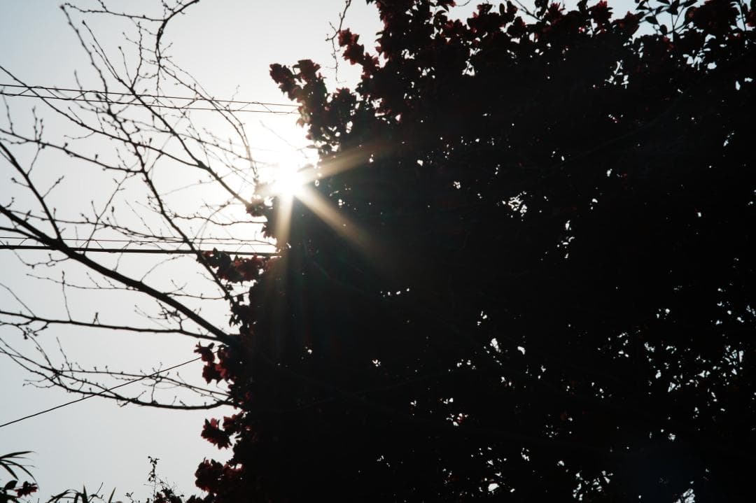 【整備＆テスト済】Pentax SMC Takumar 105mm F2.8 2