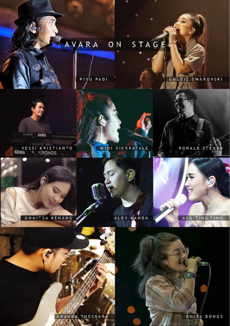 Avara AV3 カスタム iem