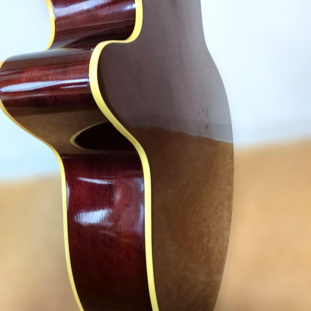 Pro Martin EA500W VS エレアコ