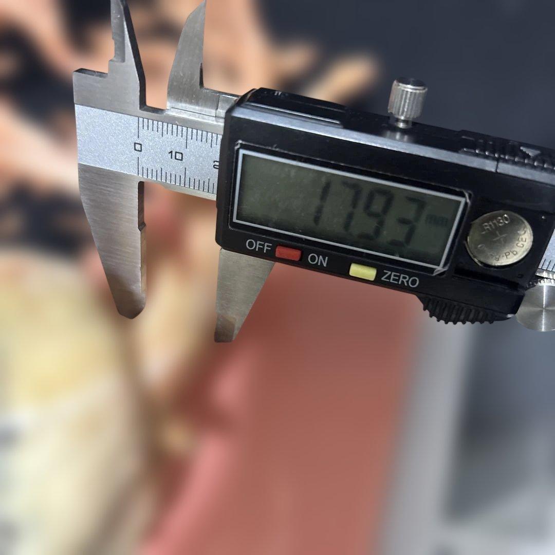 高知県産天然桃色珊瑚873グラム特大サイズ