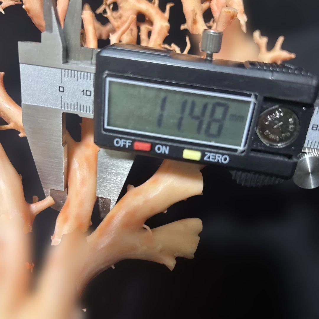 高知県産天然桃色珊瑚873グラム特大サイズ