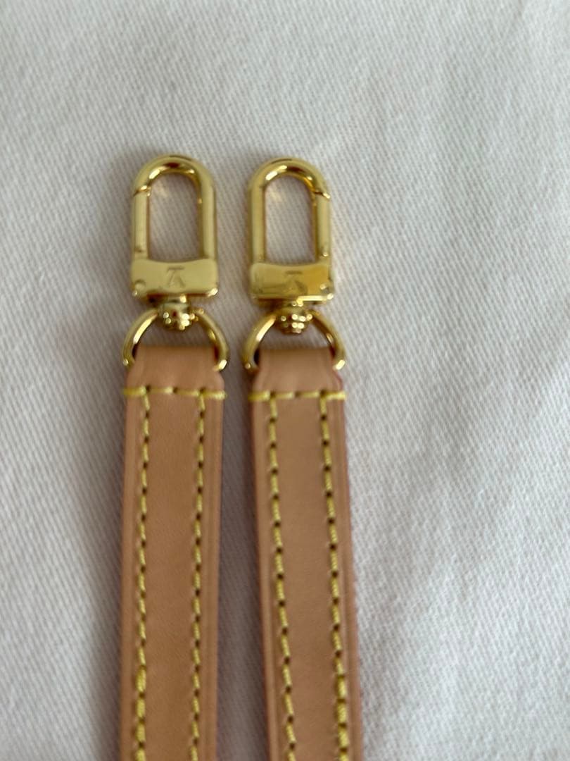 LOUIS VUITTON ルイヴィトン　プティットサックプラ　ICチップ内蔵