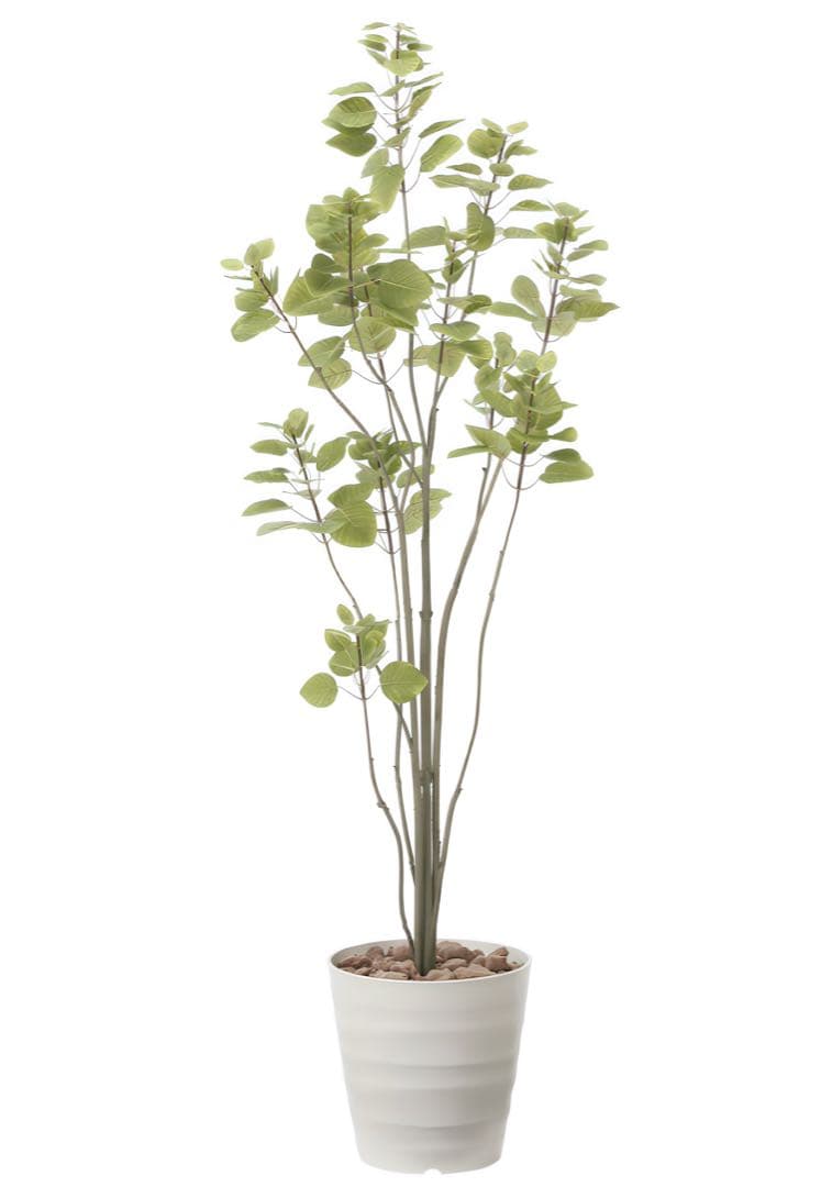 光触媒　人工観葉植物　フェイクグリーン　フィカスブランチツリー1.7