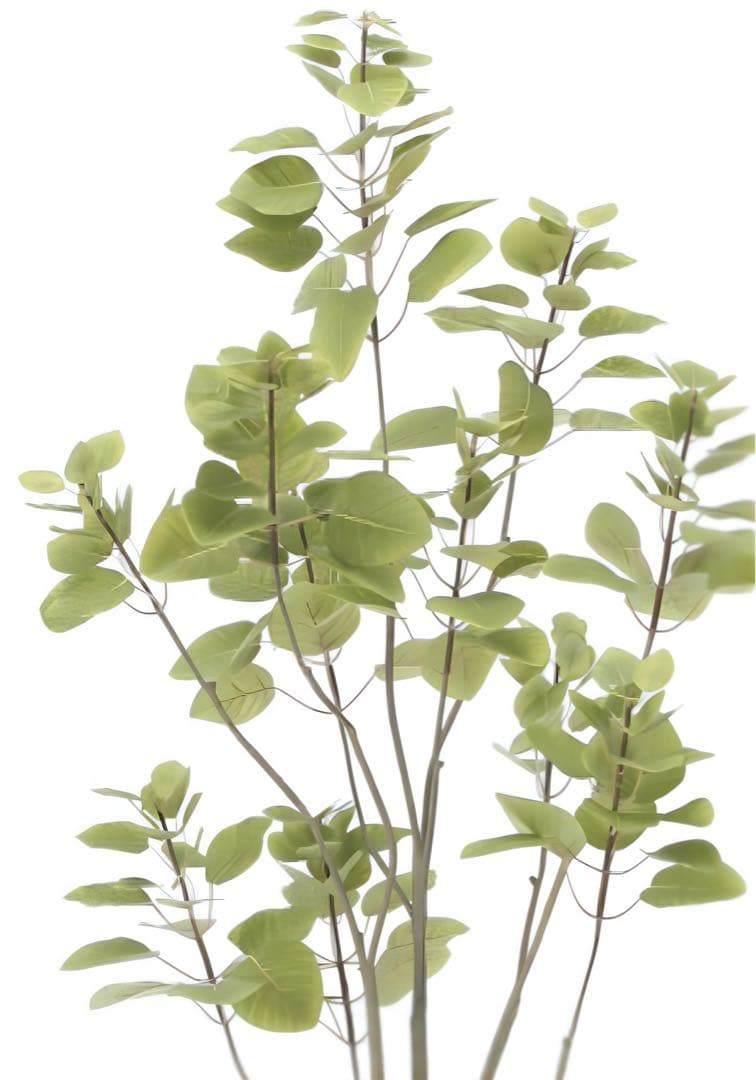 光触媒　人工観葉植物　フェイクグリーン　フィカスブランチツリー1.7