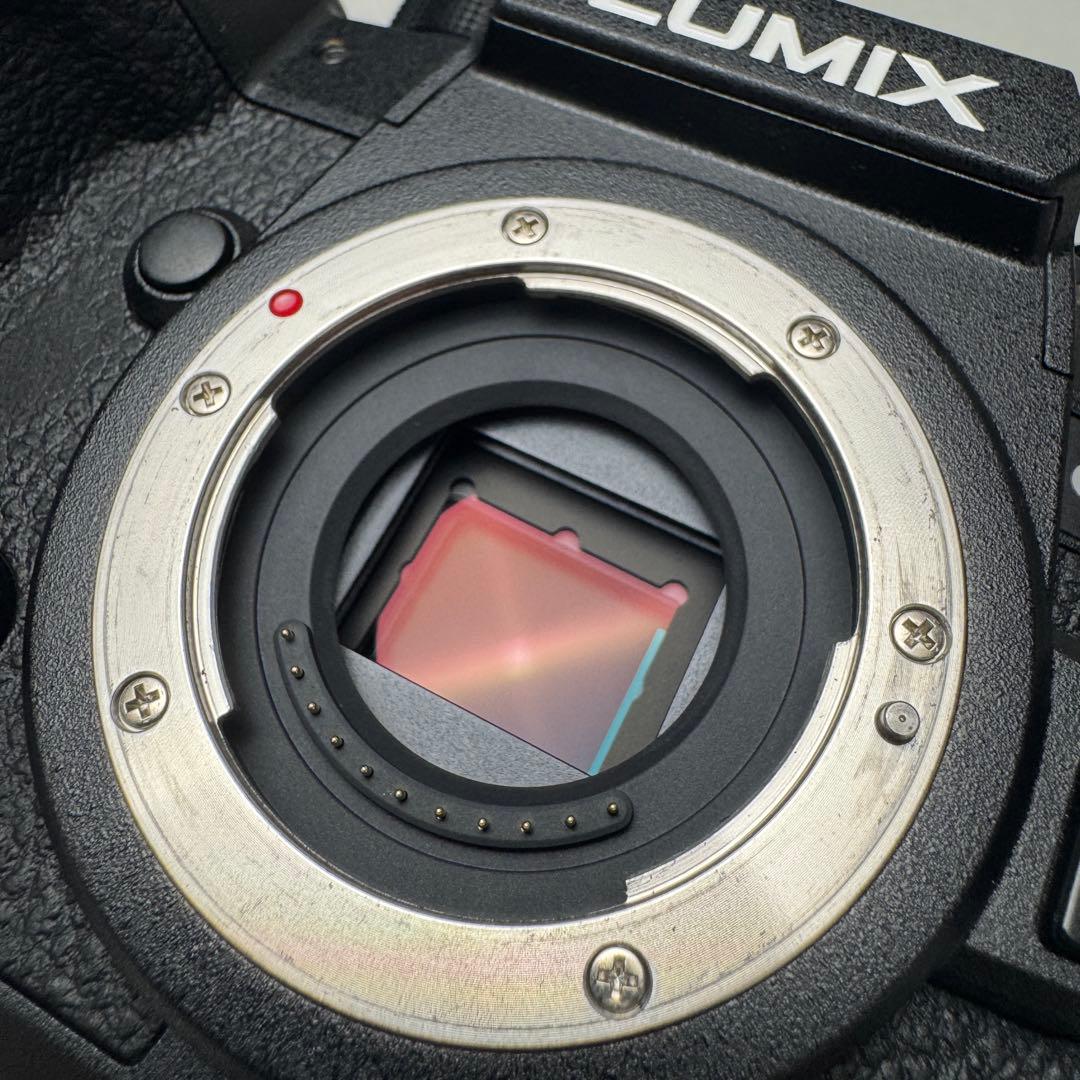 S.K.【美品】LUMIX GH6 カメラ　本体ボディー　おまけ多数