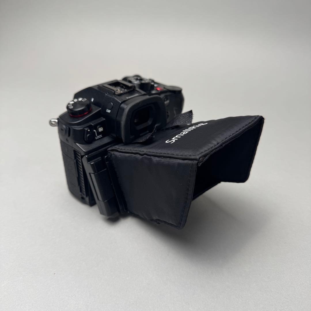 S.K.【美品】LUMIX GH6 カメラ　本体ボディー　おまけ多数
