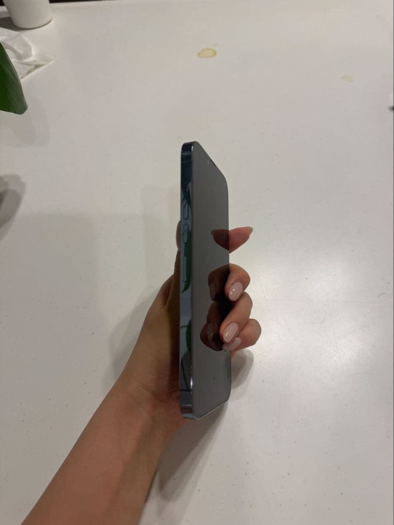 iPhone 13 Pro Max 256GB シエラブルー　SIMフリー